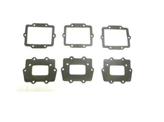 Polaris Engine Gaskets